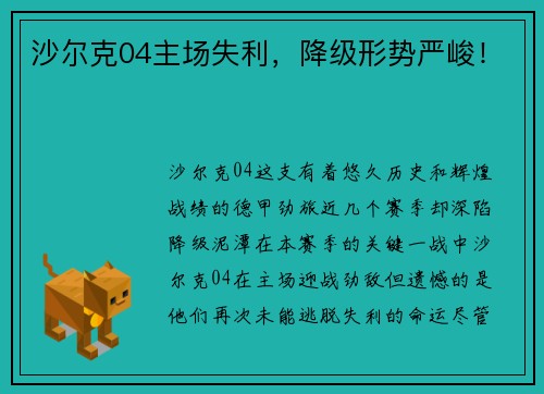 沙尔克04主场失利，降级形势严峻！